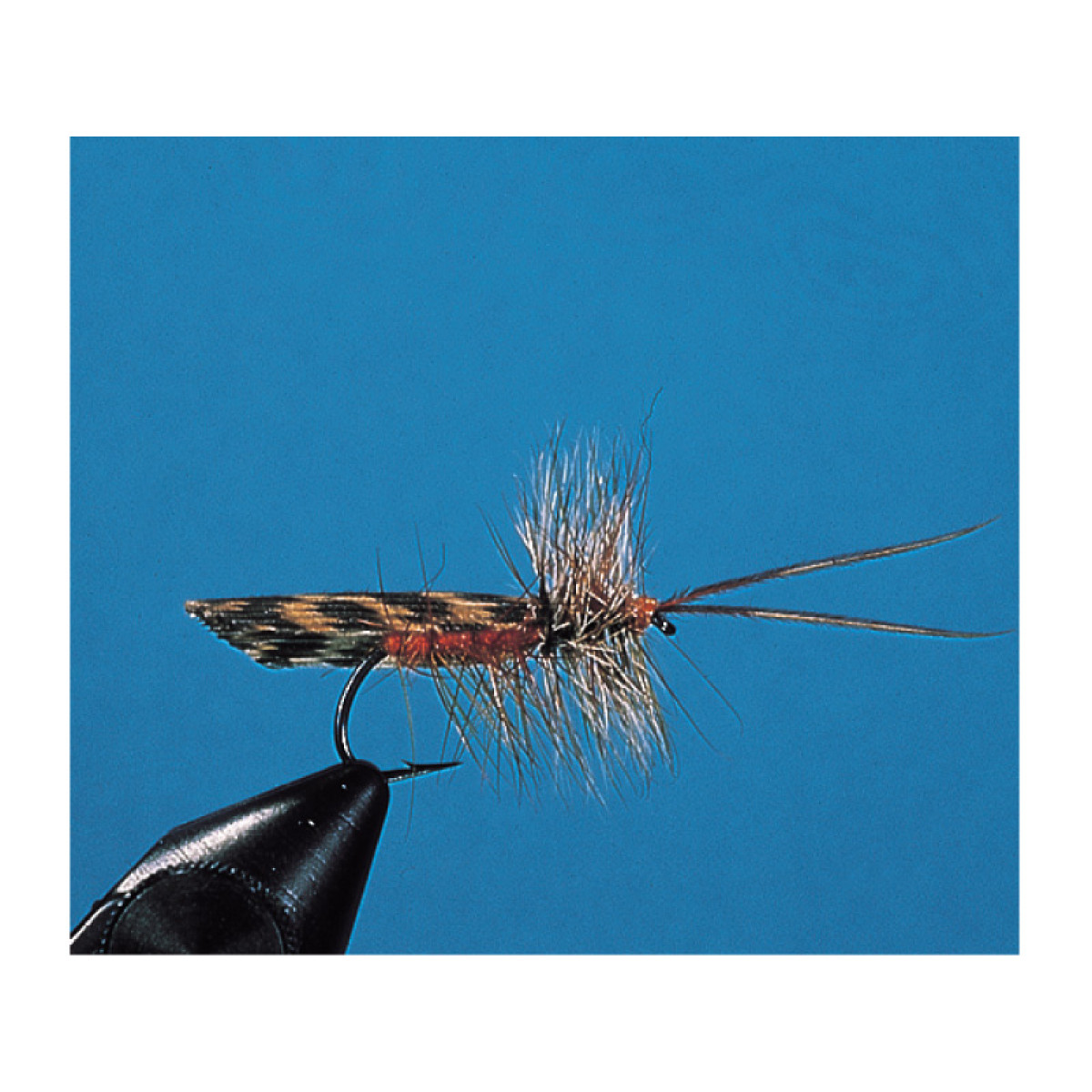 Brown & Grizzly Sedge