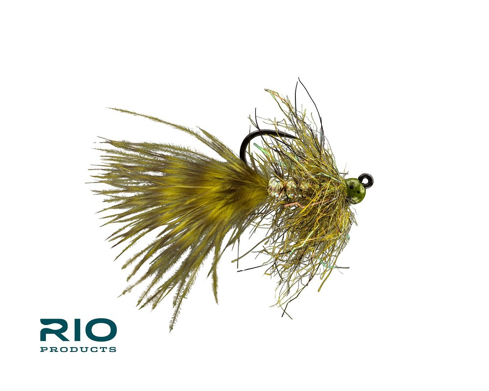 Gold Jigger (olive) (6 Stück) Gold Jigger (olive) (6 Stück)