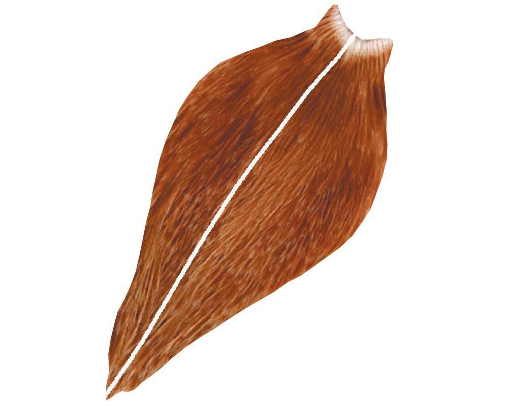 American Hackle XL 1/2 Balg American Hackle XL 1/2 Balg