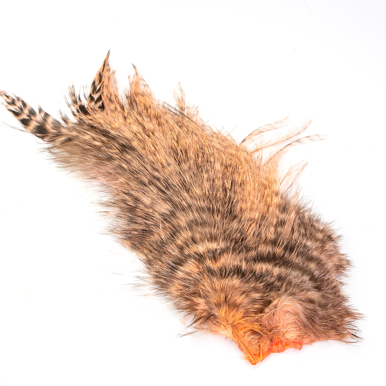 Bird Fur Bird Fur