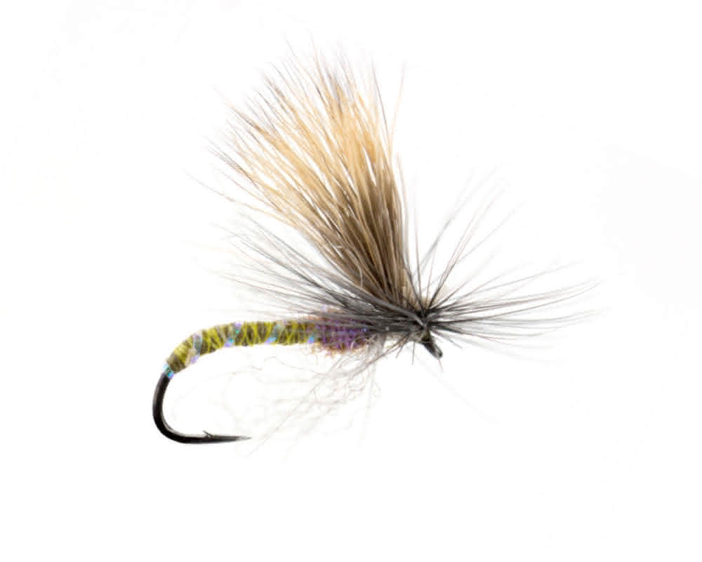 Missing Link Green Drake Mayfly