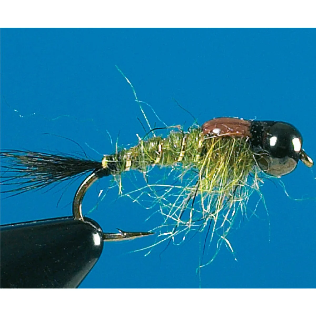 Tungsten Poxy Squirrel (olive) Tungsten Poxy Squirrel (olive)