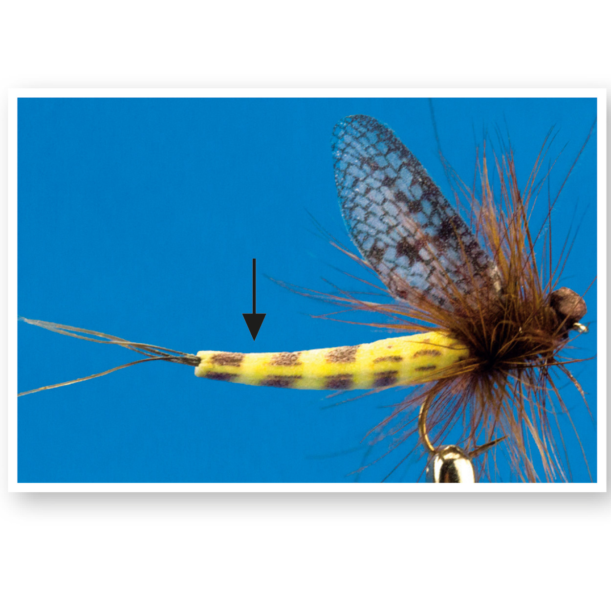 True Mayfly Bodies (light olive)