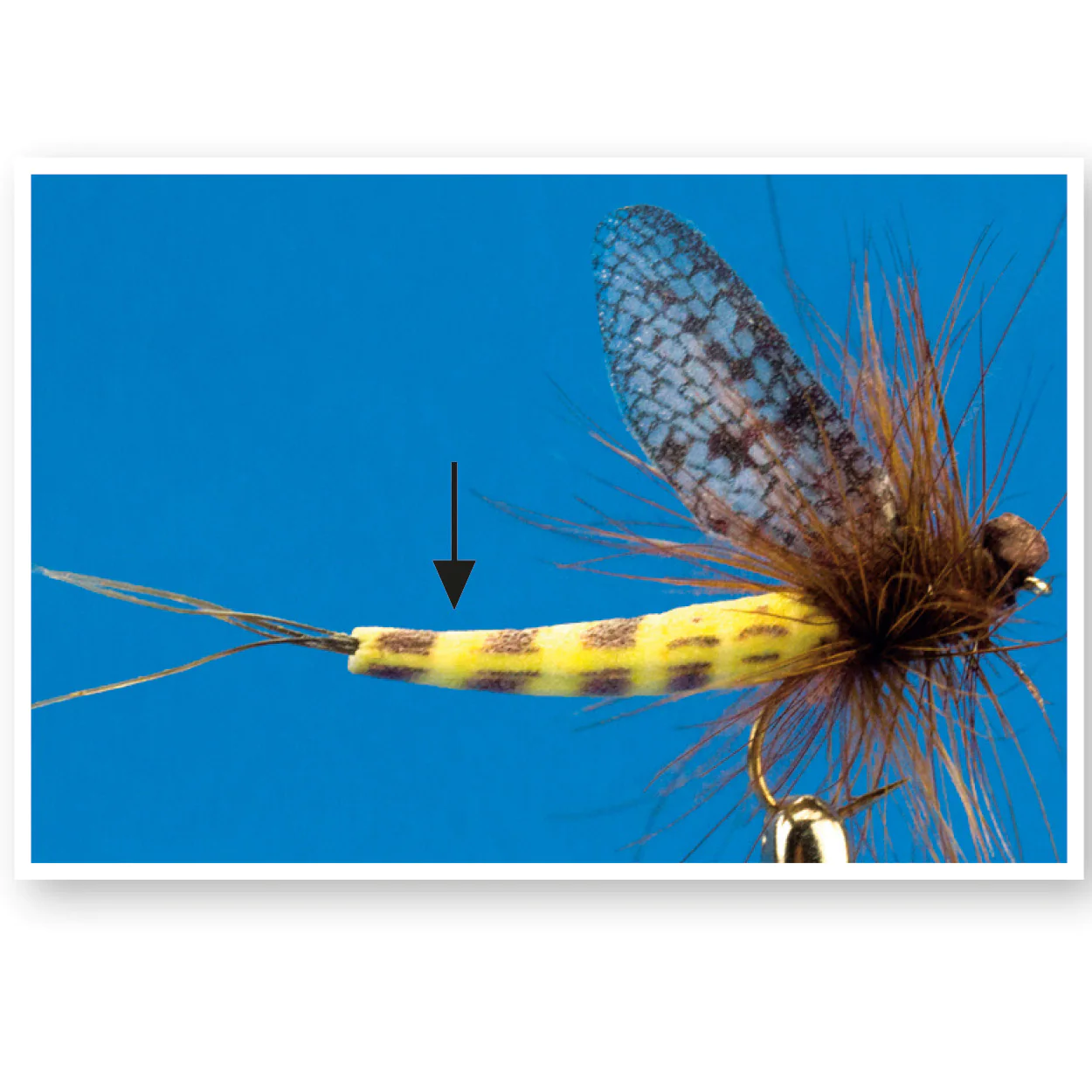 True Mayfly Bodies (sulphur) True Mayfly Bodies (sulphur)
