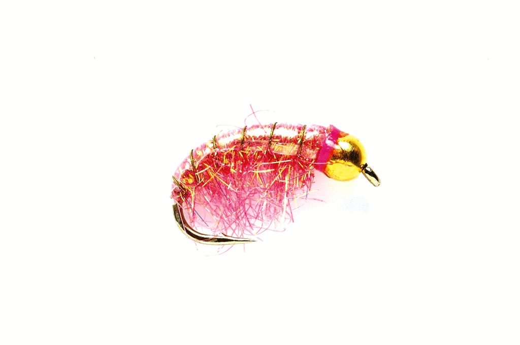 Shrimp Pink