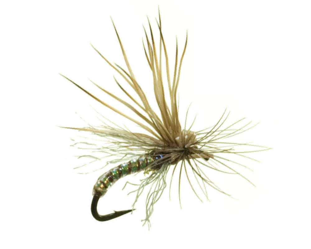 Missing Link Caddis