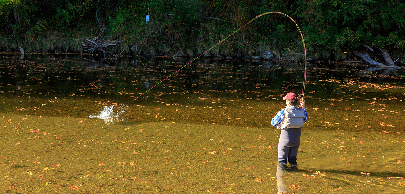 Fliegenfischen im Herbst Deutsche Traun Fliegenfischen im Herbst Deutsche Traun