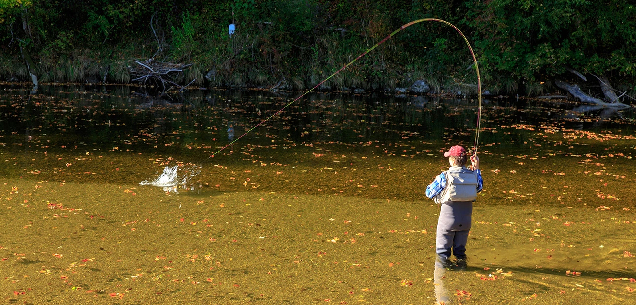 Fliegenfischen im Herbst Deutsche Traun Fliegenfischen im Herbst Deutsche Traun
