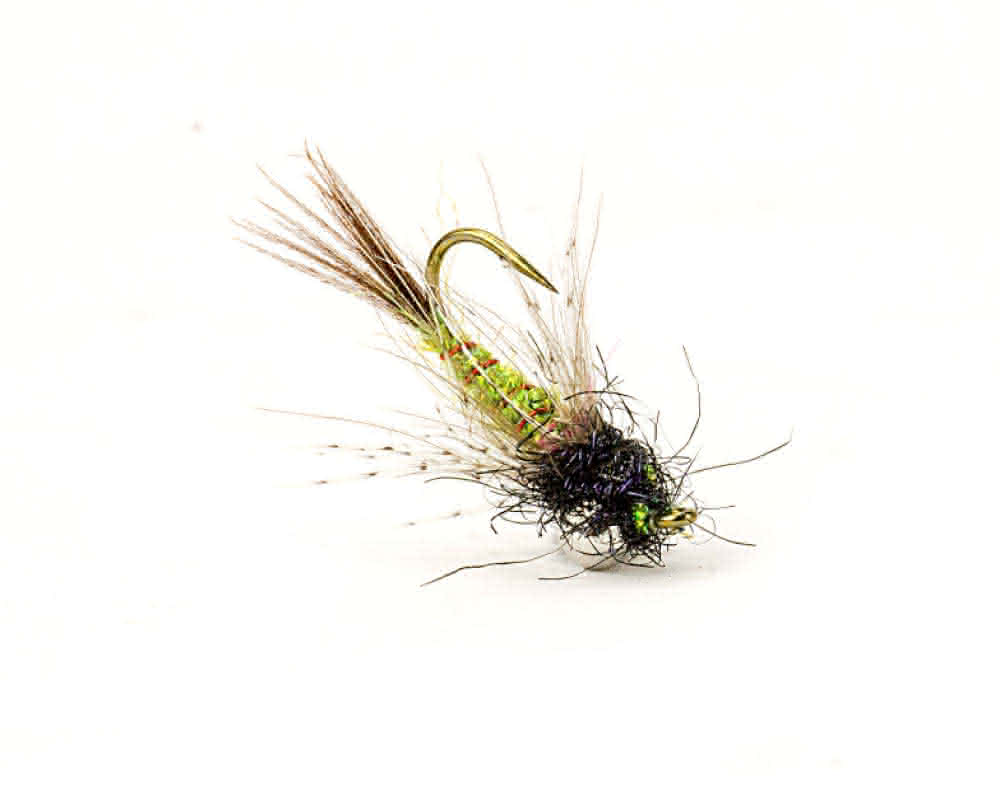 Drop Nymph (olive/black)