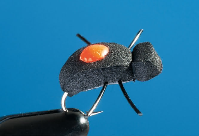 Signal Beetle Bug