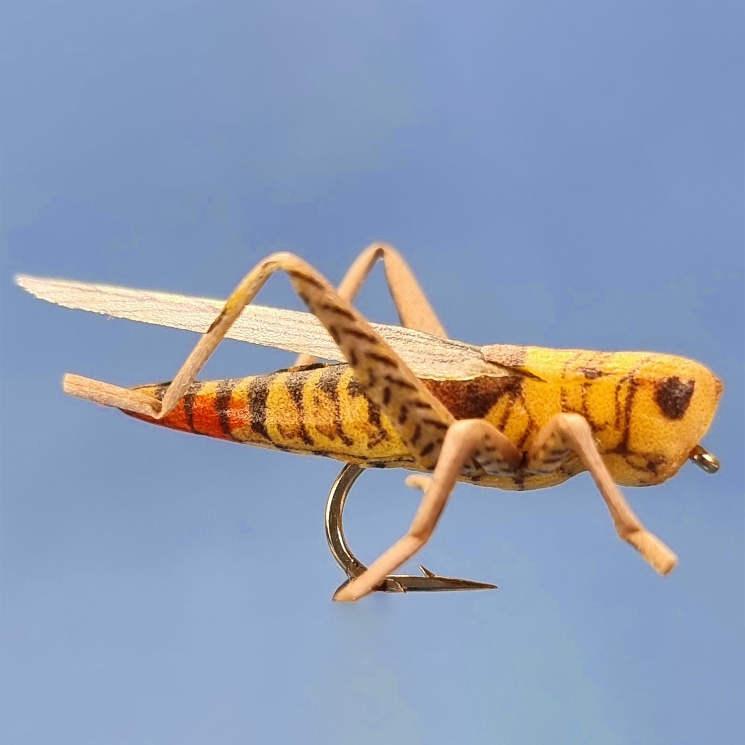 Flying Hopper (Hot Tail yellow) Flying Hopper (Hot Tail yellow)