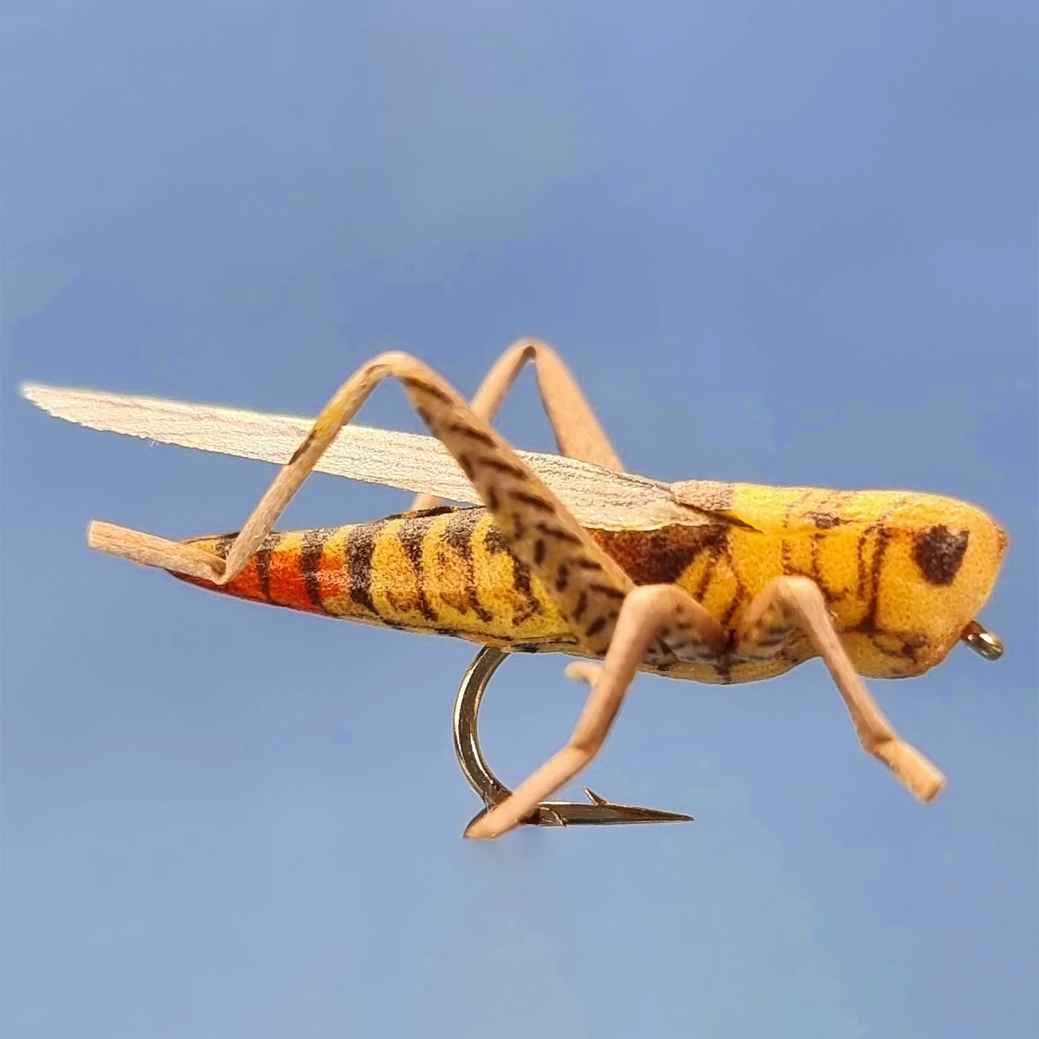 Flying Hopper (Hot Tail yellow) Flying Hopper (Hot Tail yellow)