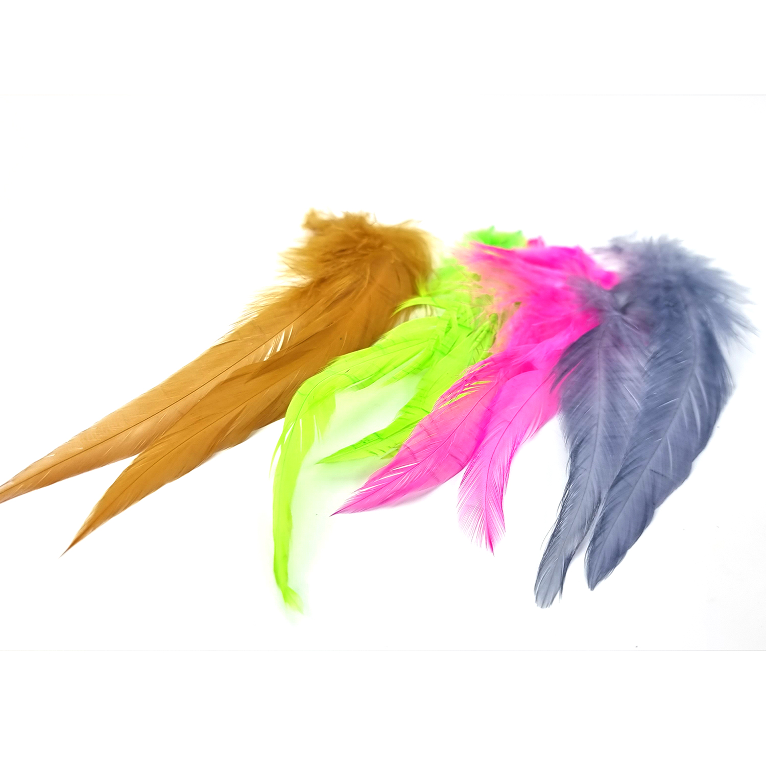 Schlappen feathers
