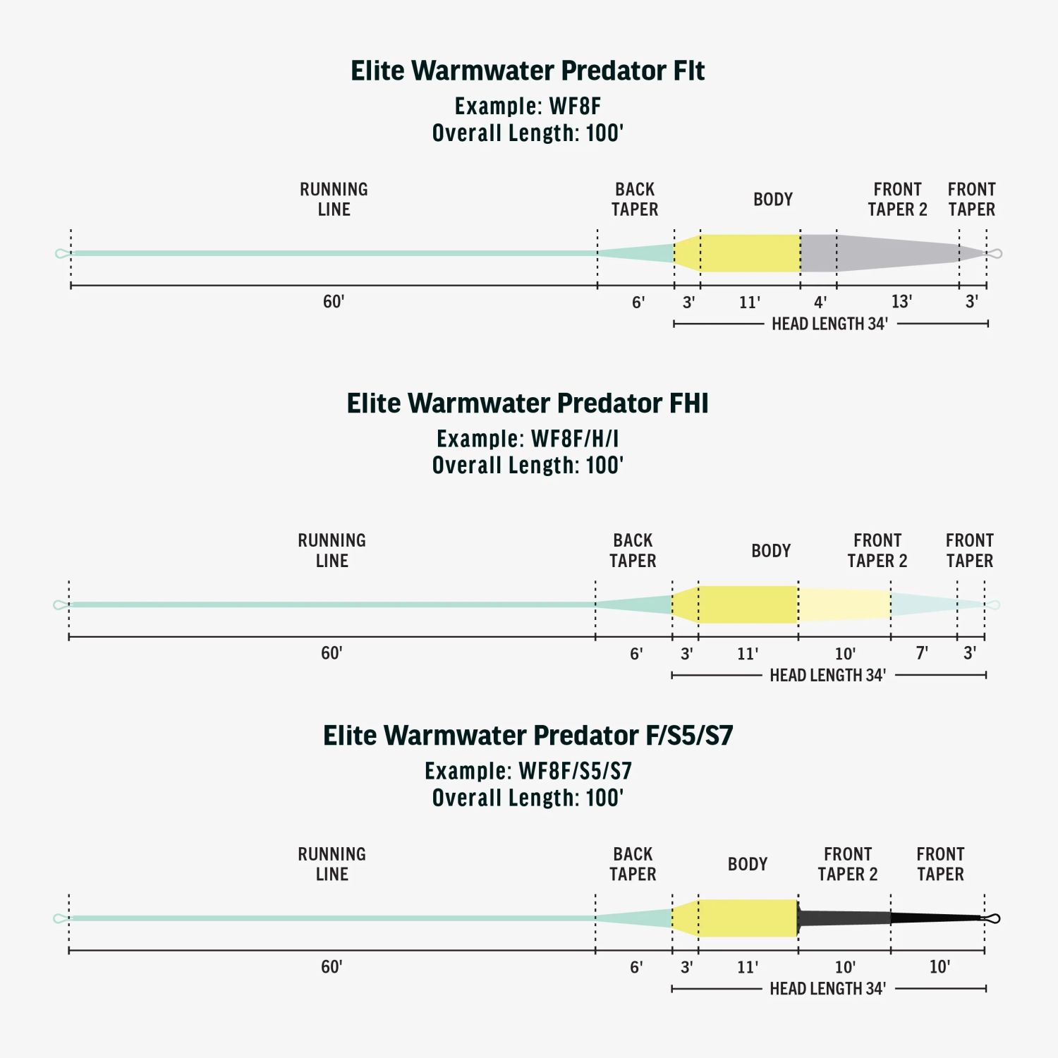 Elite Warmwater Predator (Floating/Sink5/Sink7)