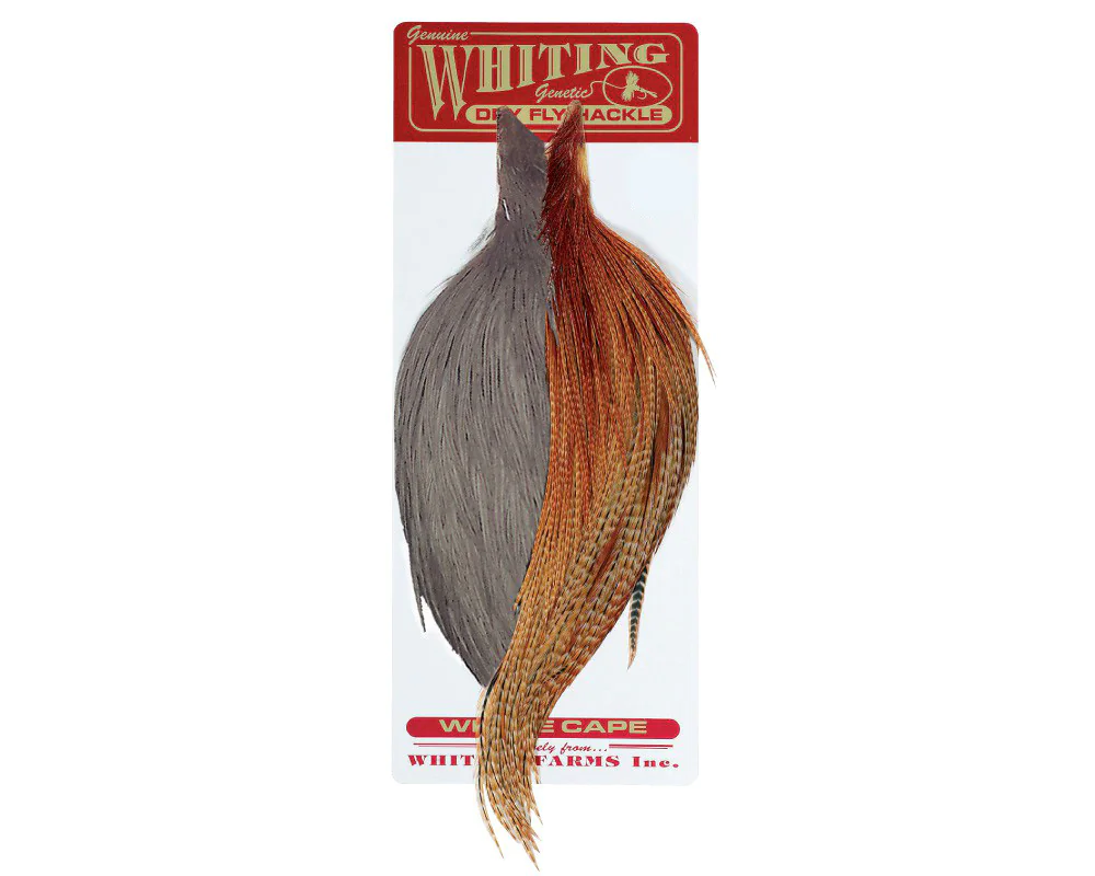 Combo Starter Combo Starter