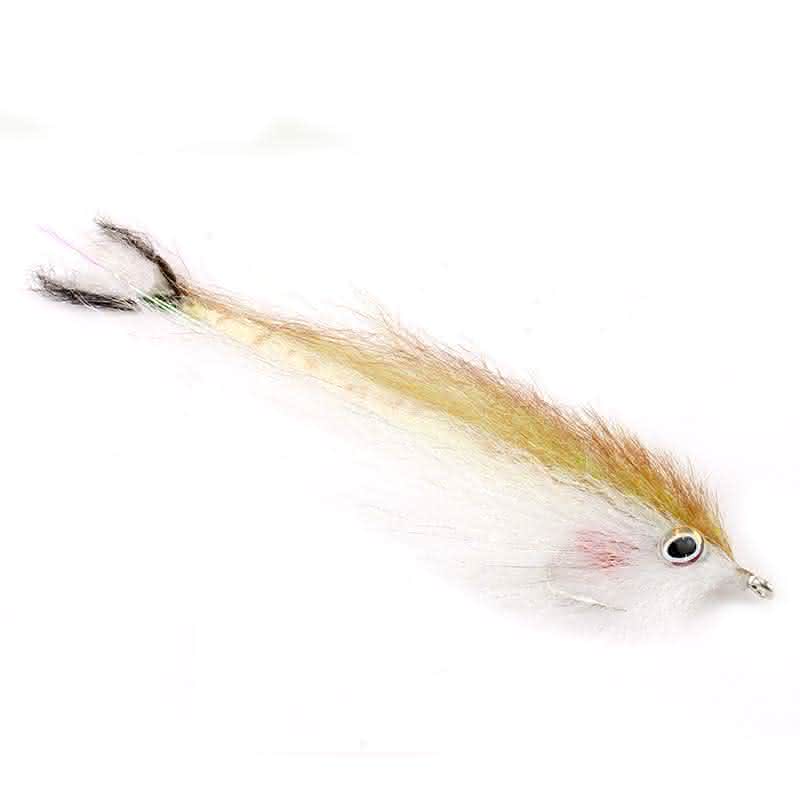 Pacific Sardina