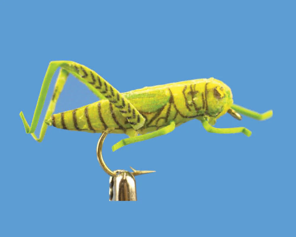 Realistic Hopper (green) Realistic Hopper (green)