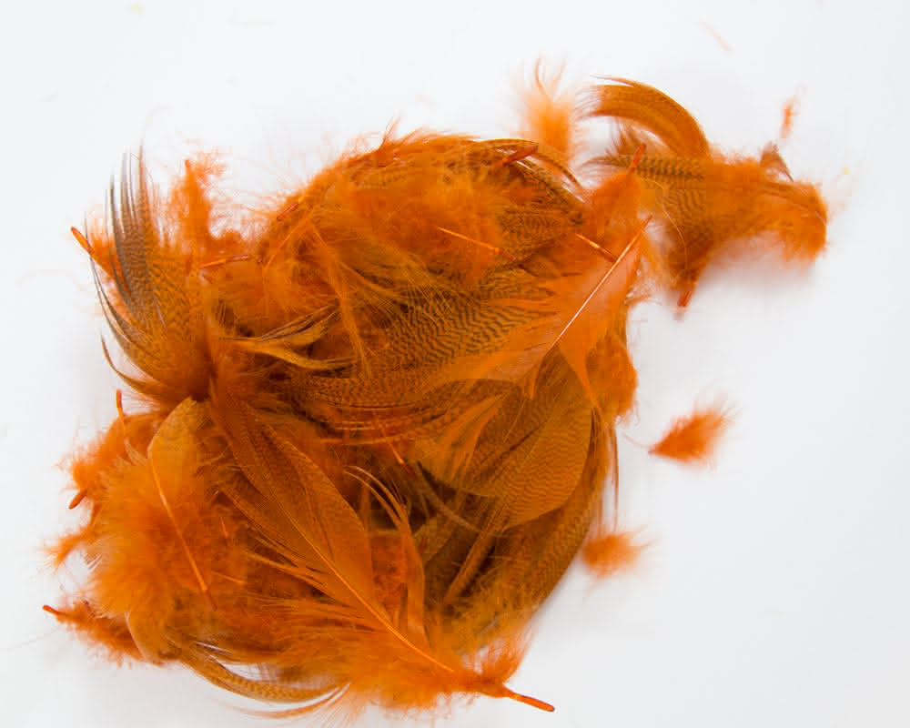 Mallard Flank Feathers