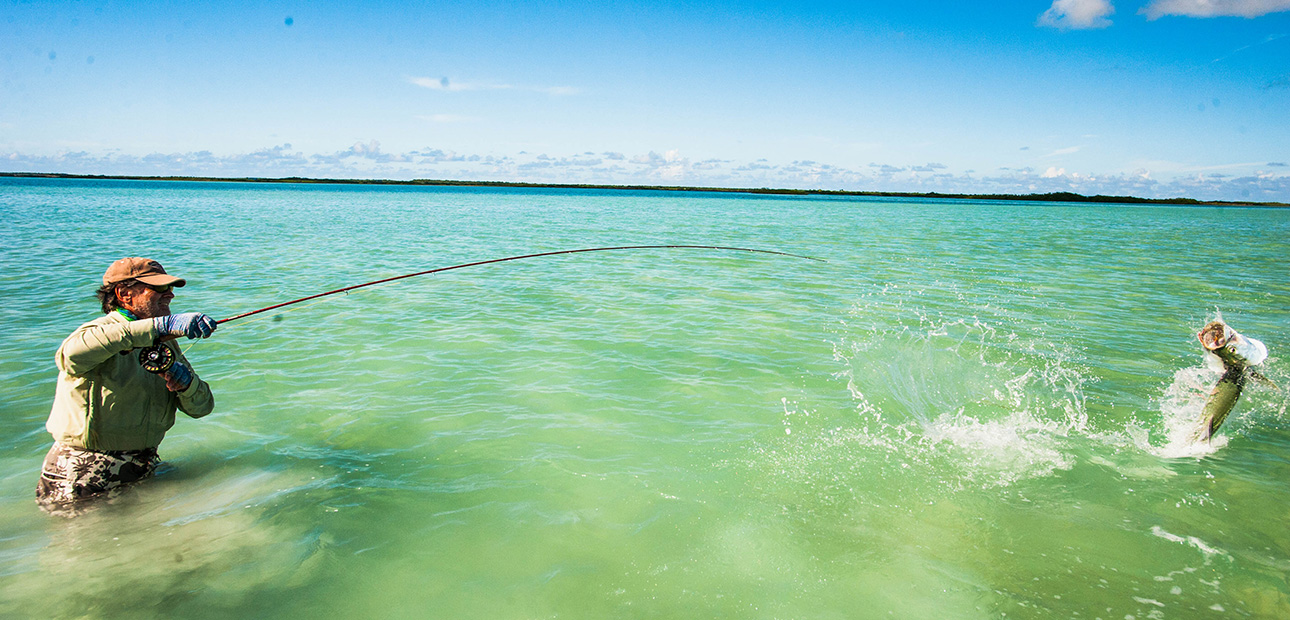 Fliegenfischen Salzwasser Tarpon Sprung