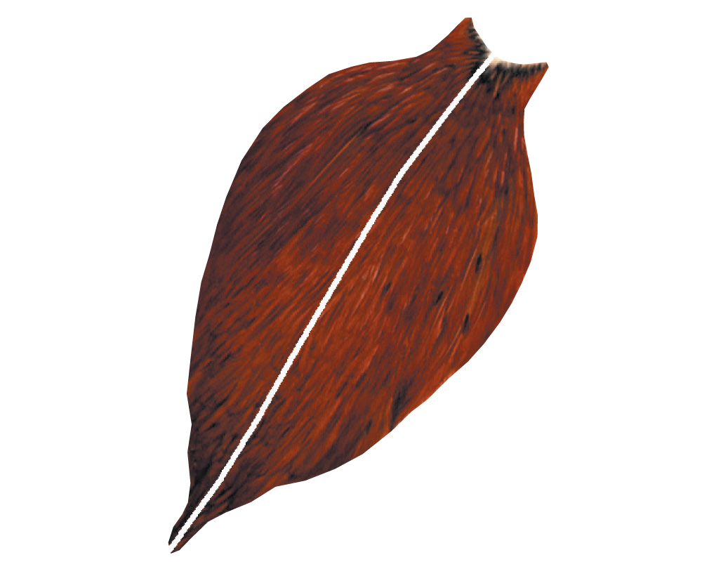 American Hackle XL 1/2 Balg American Hackle XL 1/2 Balg