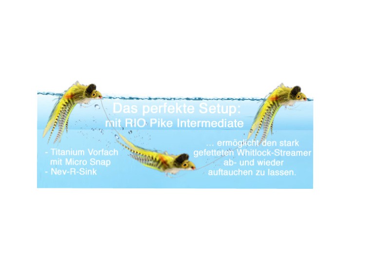 Whitlocks Premium Hechtstreamer (schwarz/lila) Whitlocks Premium Hechtstreamer (schwarz/lila)