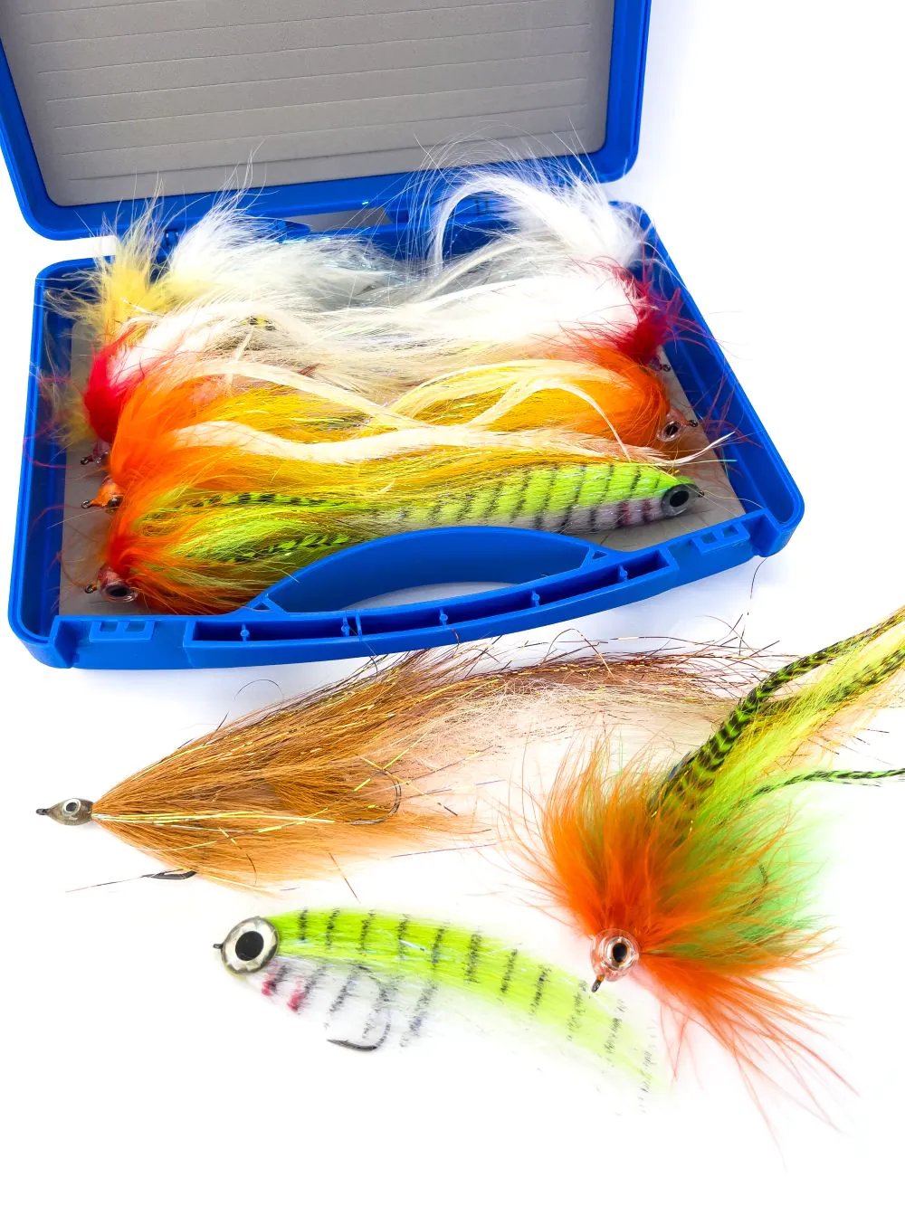 Pike Box Plus Pike Box Plus