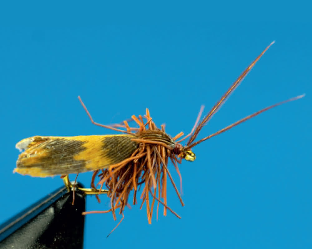 Hair Caddis