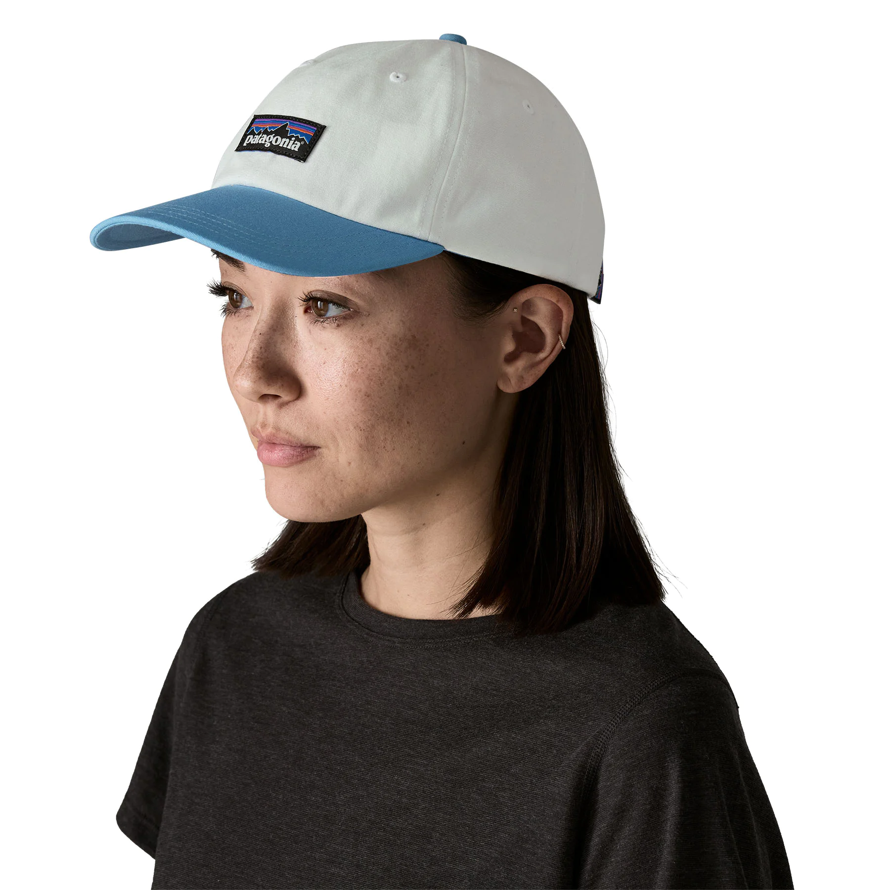 P-6 Label Trad Cap (birch white w/blue sage)
