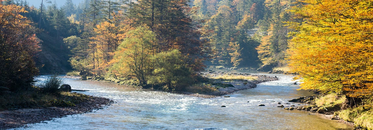 Fly Rod Blanks