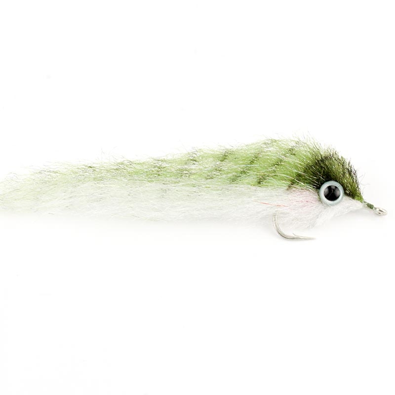 Tinker Mackerel Tinker Mackerel