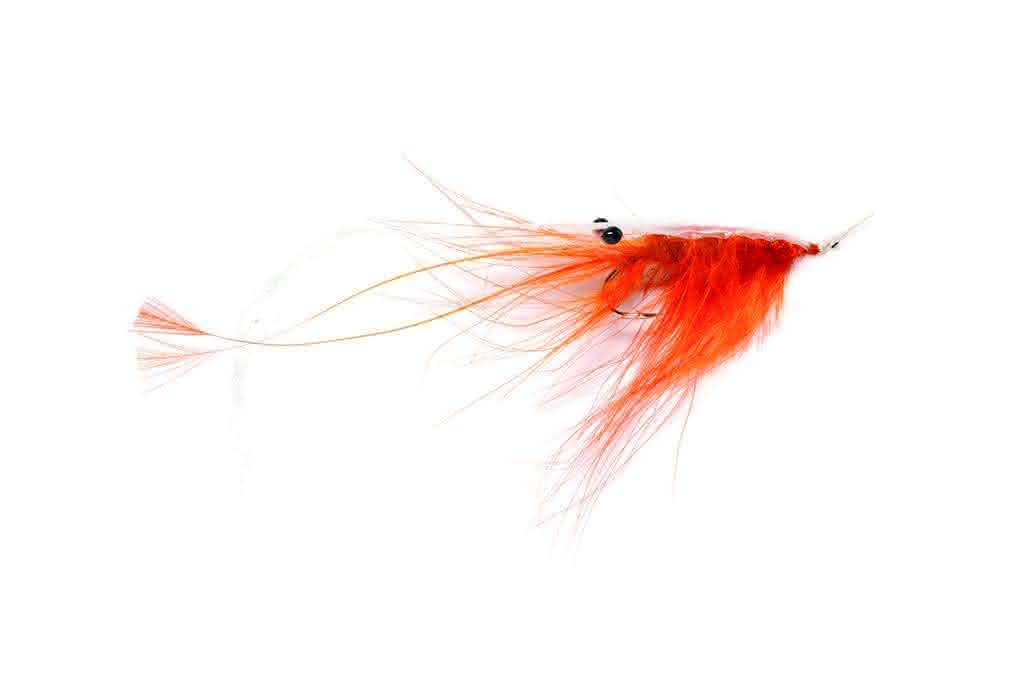 Oeland Shrimp (orange)