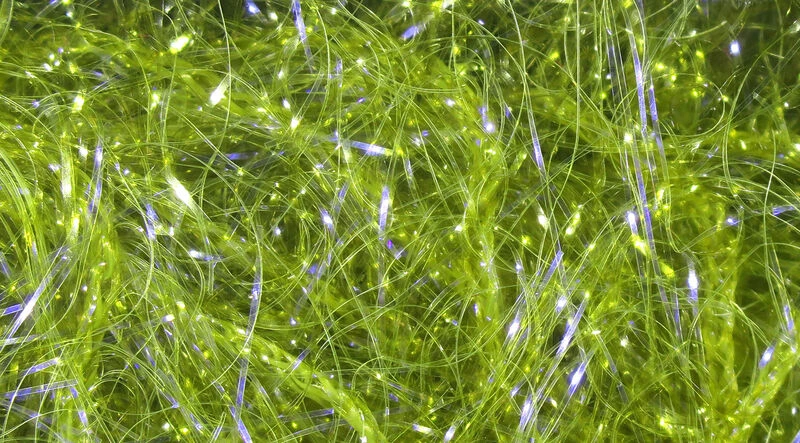 UV Polar Chenille UV Polar Chenille