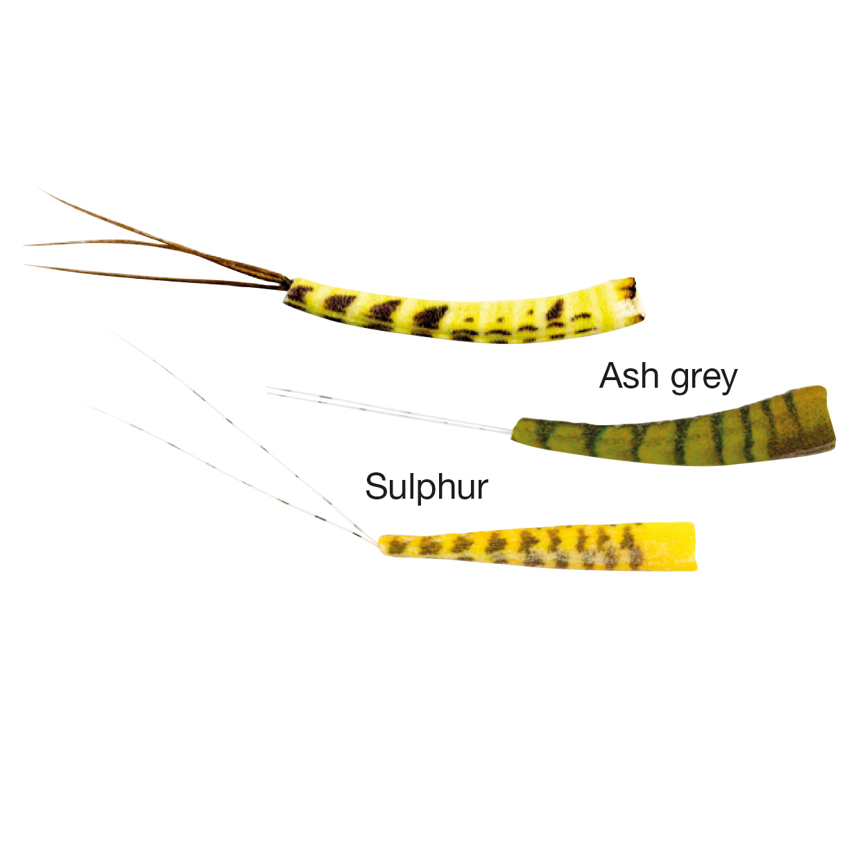 True Mayfly Bodies (sulphur)