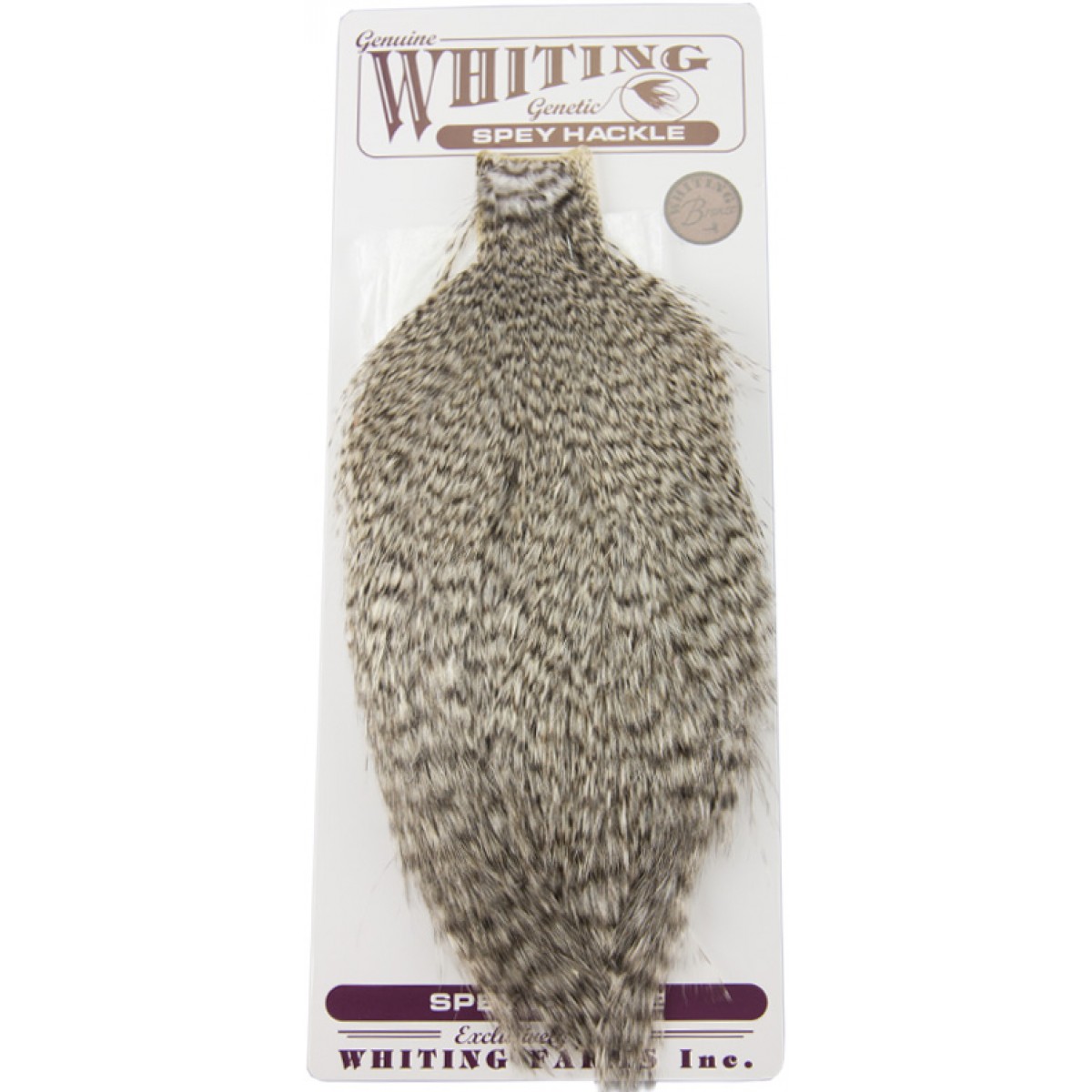 Spey Hackle Rooster