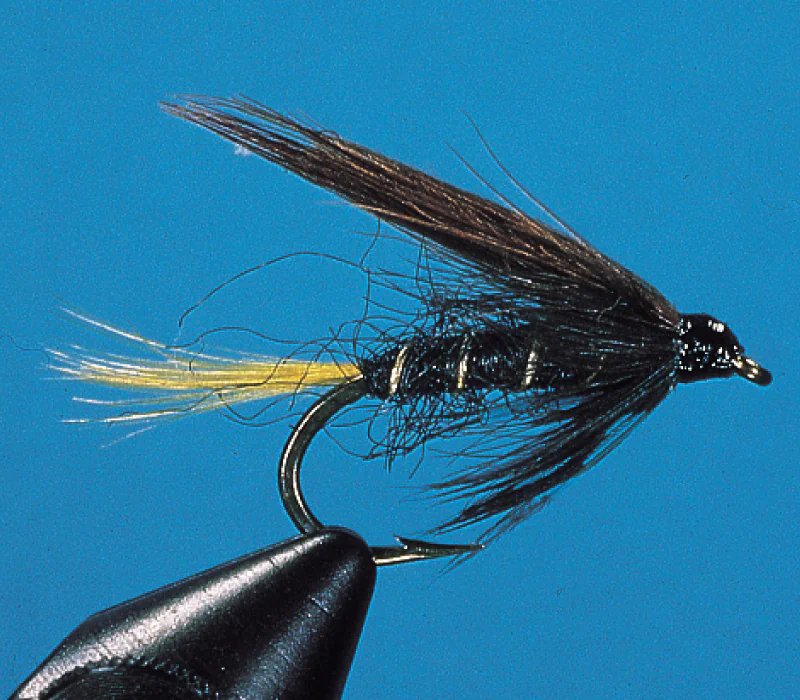 Conemara (black) Conemara (black)