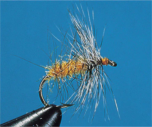 Grizzly Palmer Grizzly Palmer