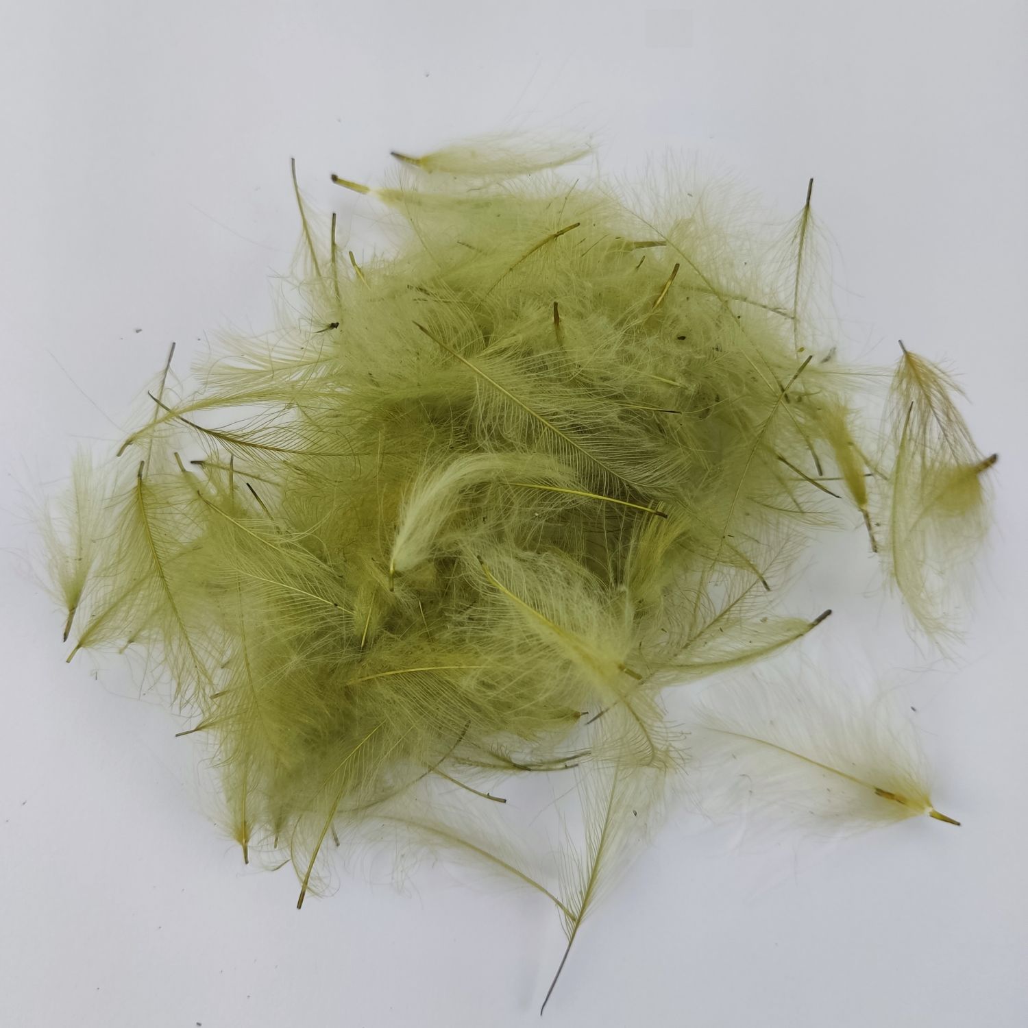 Cul De Canard CDC Corail Fluo Pour La Pêche à La Mouche - Foto 7