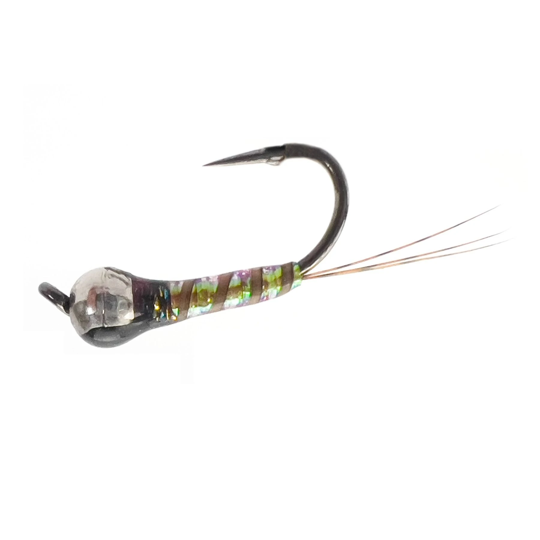 Quill Rib Perdigon (rainbow) Quill Rib Perdigon (rainbow)