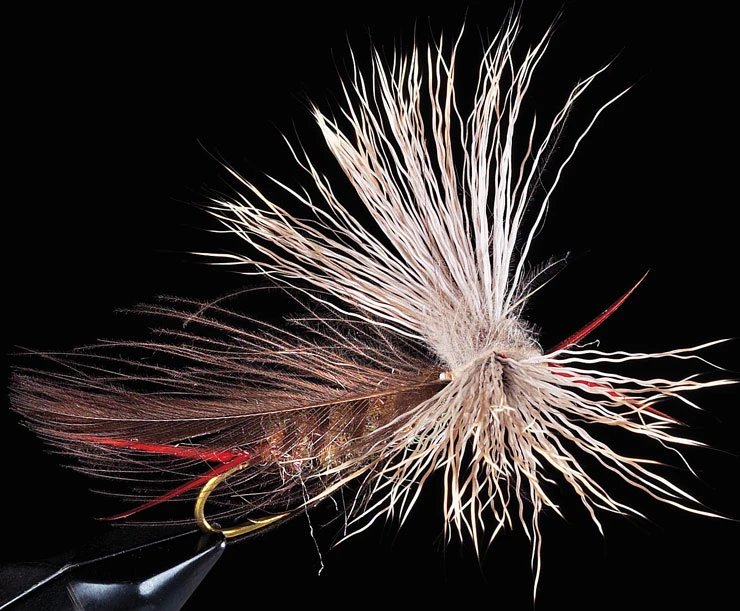 CDC Stonefly CDC Stonefly