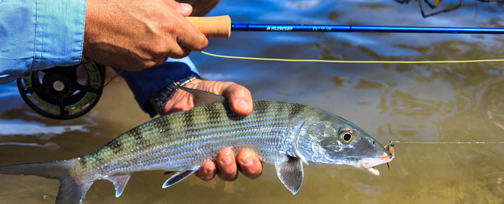 https://www.rudiheger.eu/media/8f/7c/8b/1666261527/fliegenfischen_bonefish_3.jpg