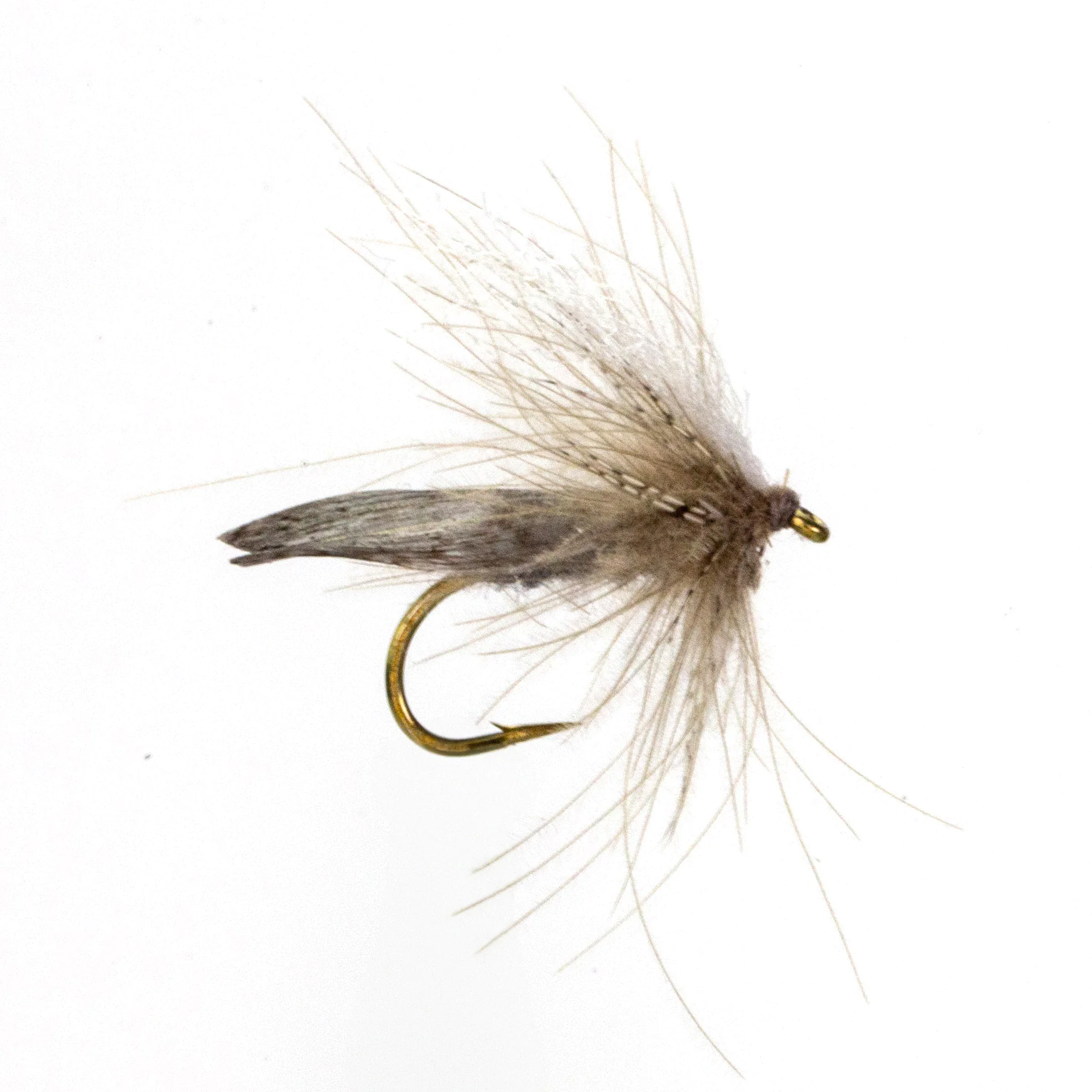 CDC Traun Caddis / Köcherfliege CDC Traun Caddis / Köcherfliege