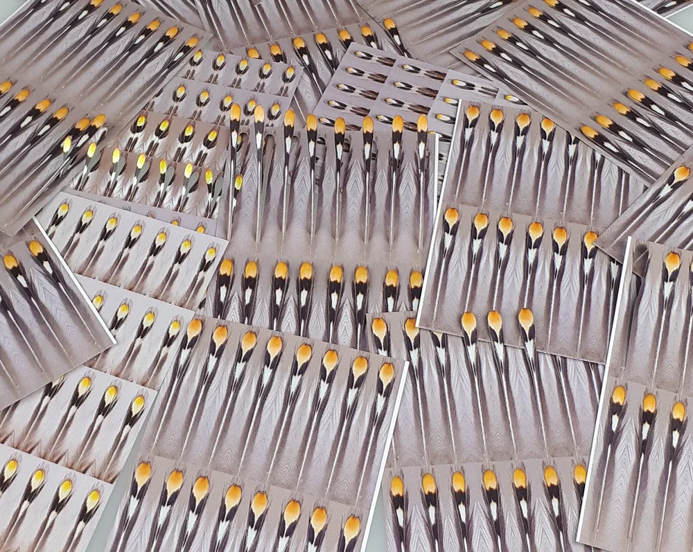 Un-Real Jungle Cock Un-Real Jungle Cock