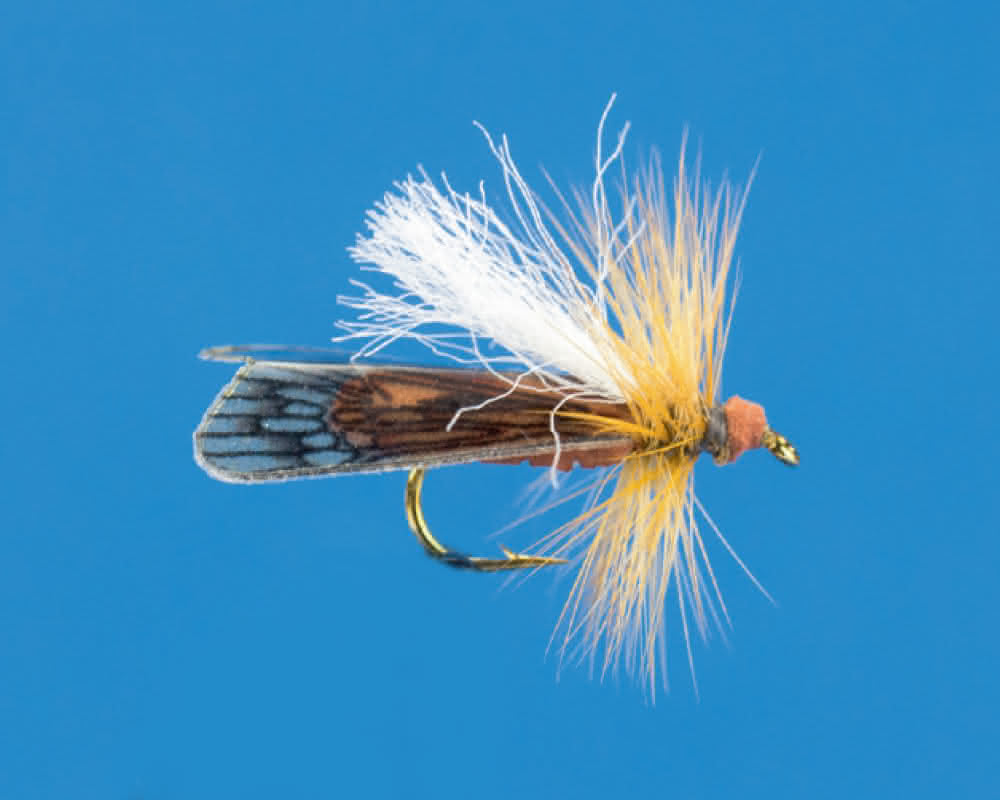 Moving Caddis (brown)