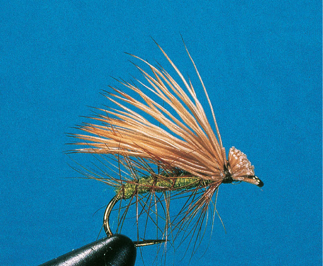 S.-Fliege Buck Caddis (olive)