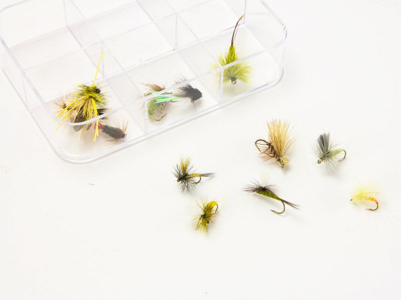 Pack of 12 Trout Flys (incl. Ultra Box)