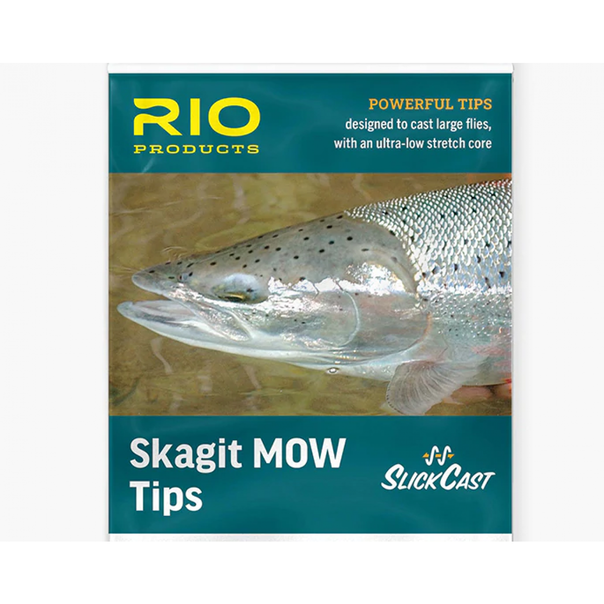 Skagit MOW Tip light (T-8)