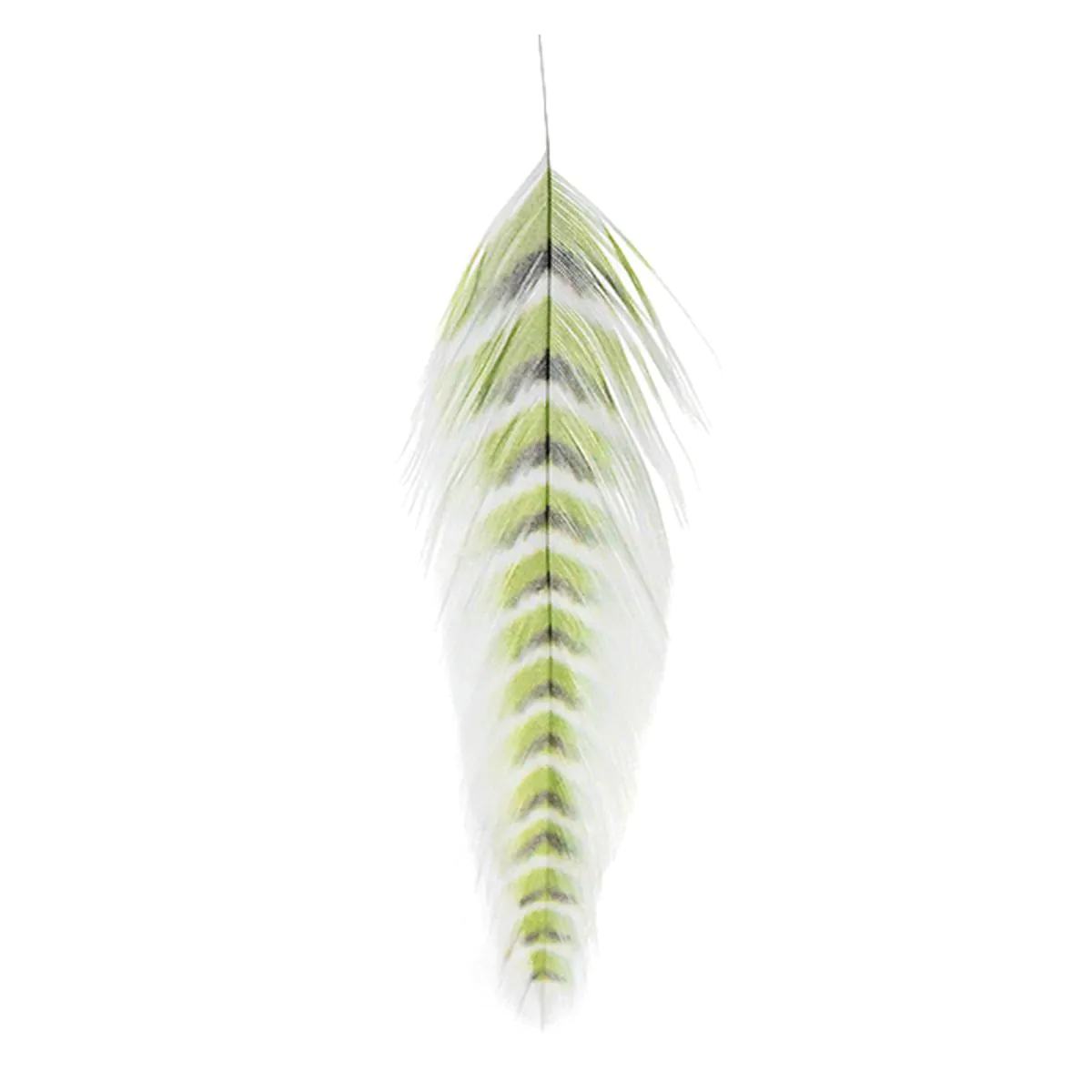 Feder-Dekoration, grün-weiß, Federprint, Naturmotiv