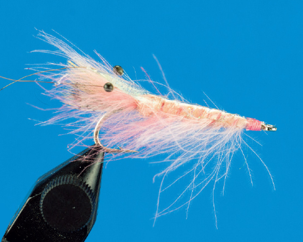 CDC Shrimp (light pink)