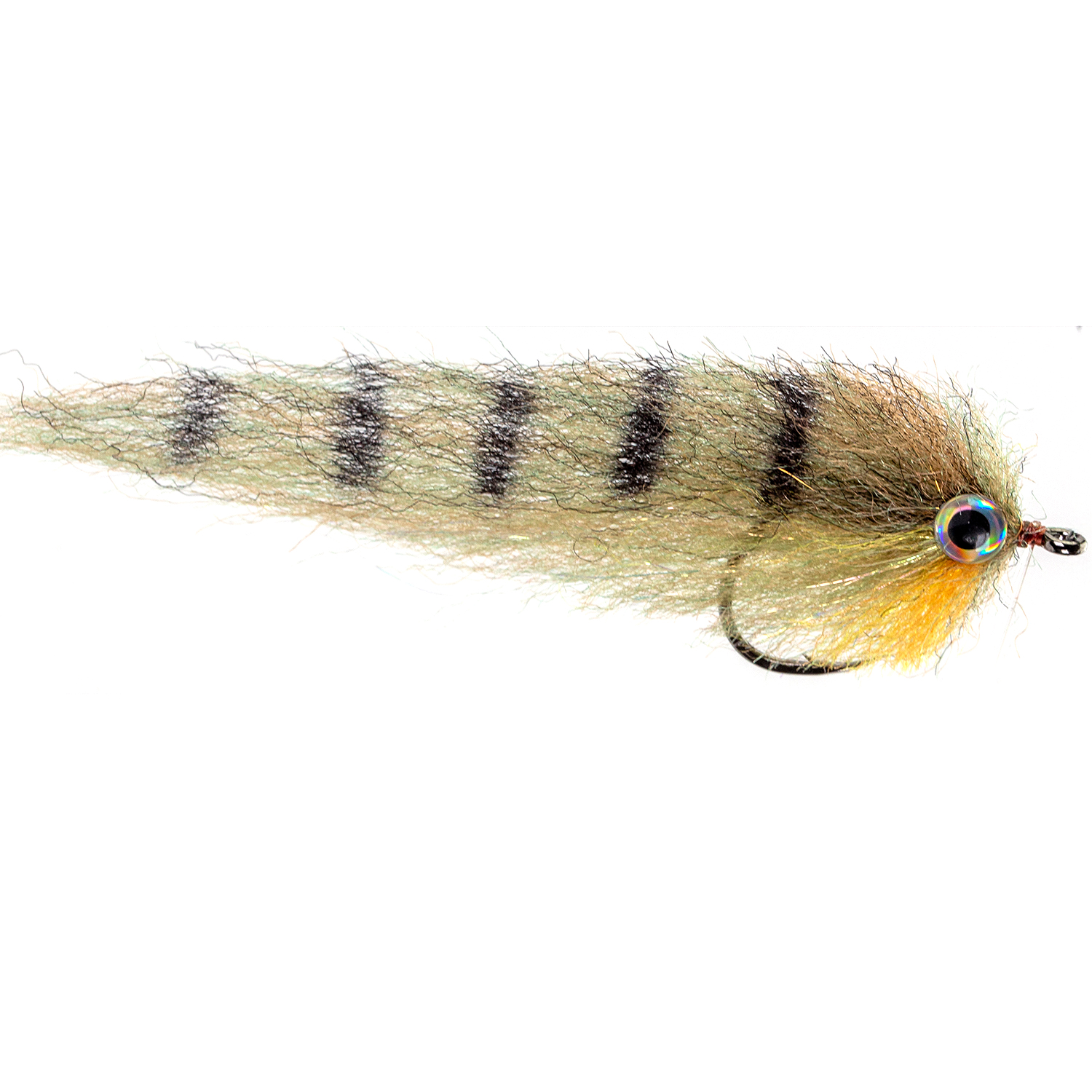Baitfish (peacock)