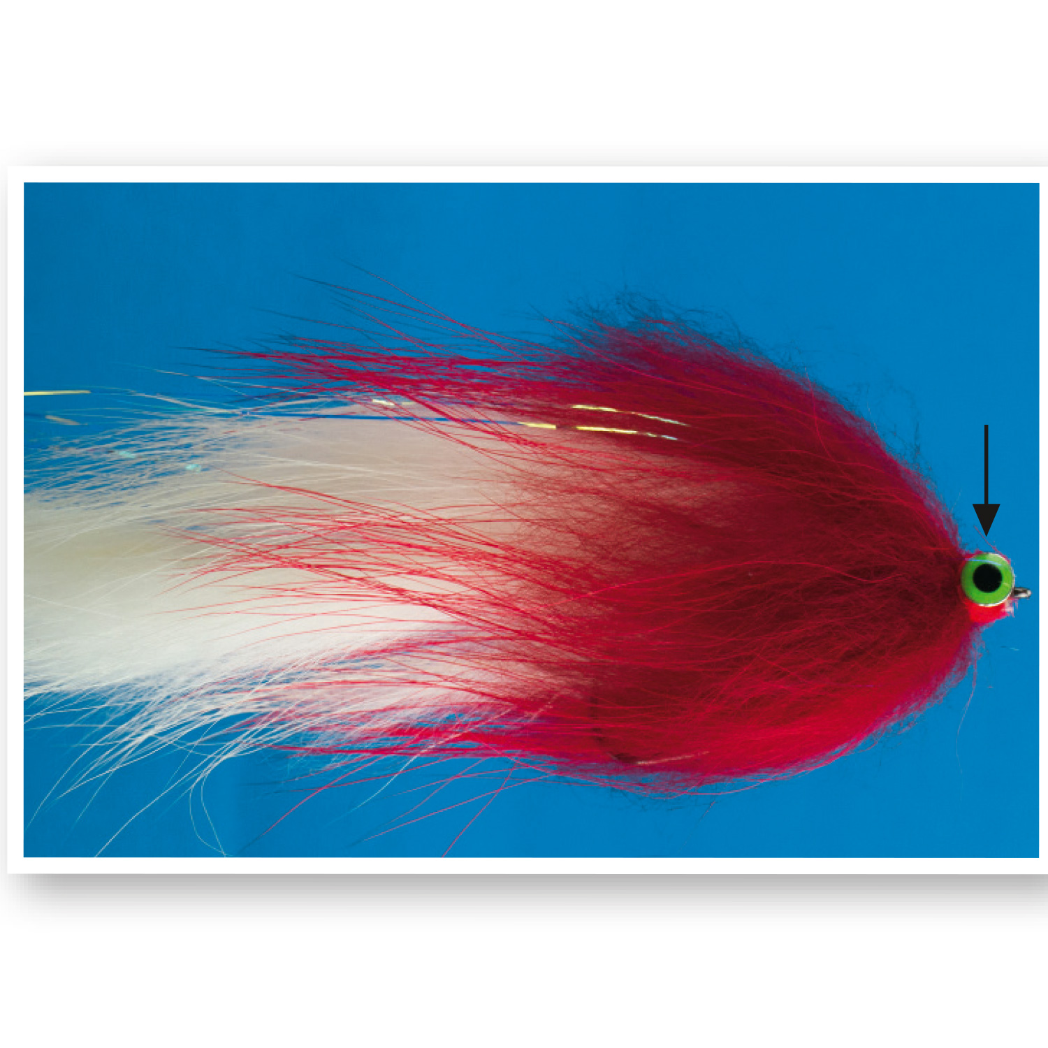 Tungsten Fly Eyes (silber) Tungsten Fly Eyes (silber)